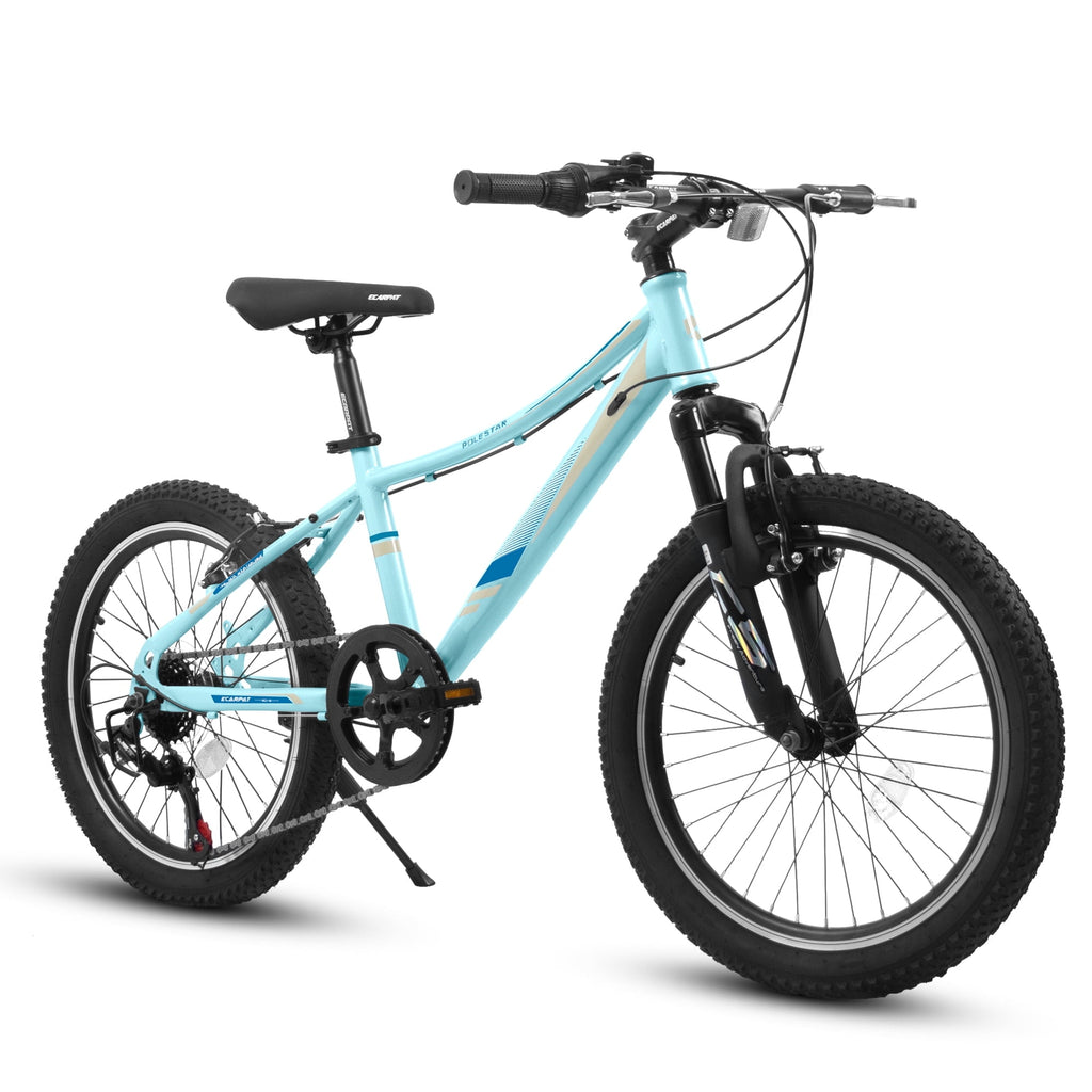 Ambifirner 20" City Bike with Adjustable Saddle & Kickstand Steel Frame