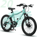 Ambifirner 20" City Bike with Adjustable Saddle & Kickstand Steel Frame