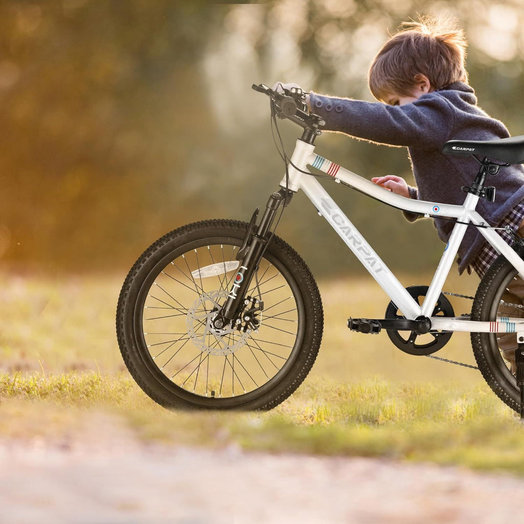 Ambifirner 20" City Bike with Adjustable Saddle & Kickstand Steel Frame