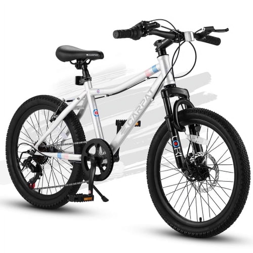 Ambifirner 20" City Bike with Adjustable Saddle & Kickstand Steel Frame