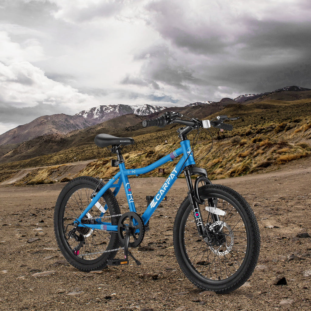 Ecarpat Kids' Bicycles 20 inch Kids Mountain Bike for Ages 8-12
