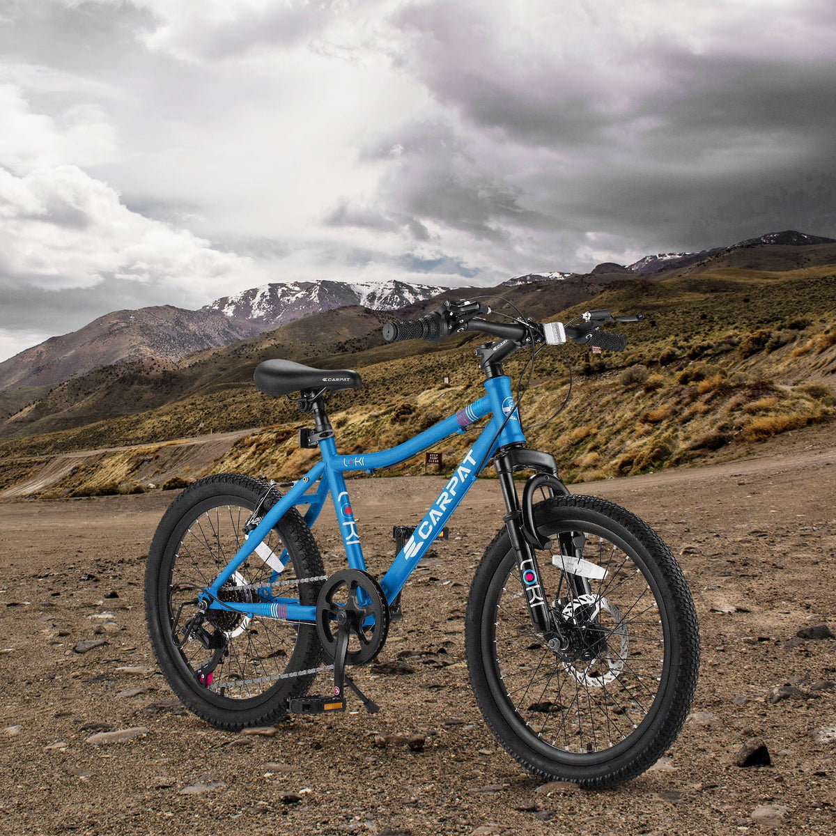 Ecarpat Kids' Bicycles 20 inch Kids Mountain Bike for Ages 8-12